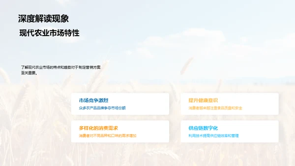 农业市场创新策略
