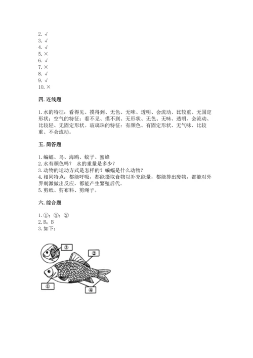 教科版一年级下册科学期末测试卷有答案解析.docx