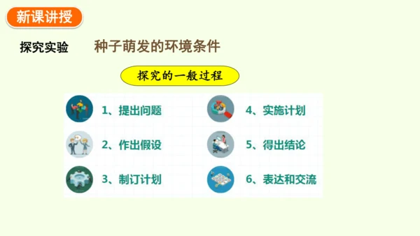 3.1.1 种子的萌发-七年级生物下学期同步精品课件（2024人教版）(共25张PPT)