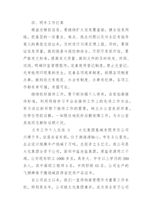文书工作个人总结.docx