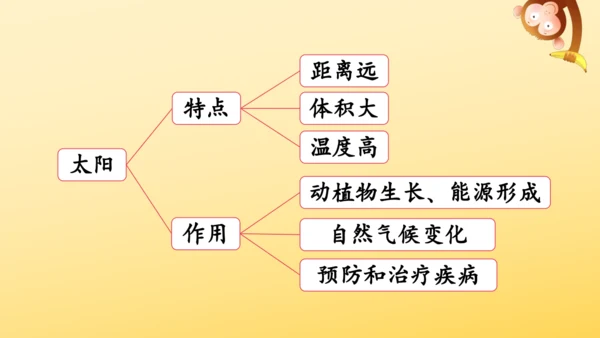 16 太阳 课件