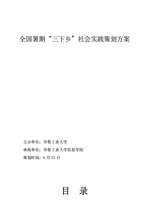 团队社会实践活动具体实施专业方案.docx