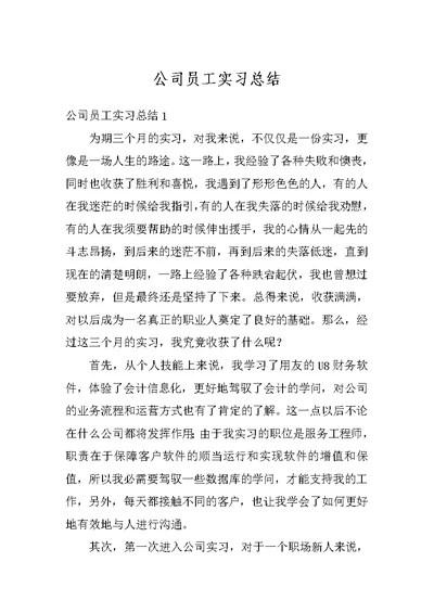 公司员工实习总结