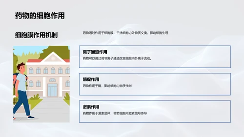 药理学教学讲解