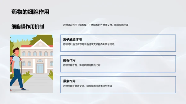 药理学教学讲解