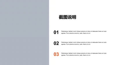扁平PPT截图说明
