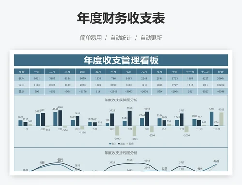 年度财务收支表