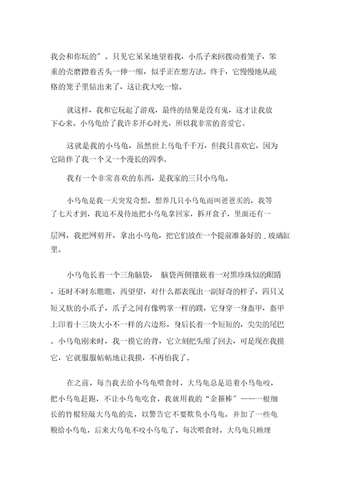 我的心爱之物小乌龟作文精选