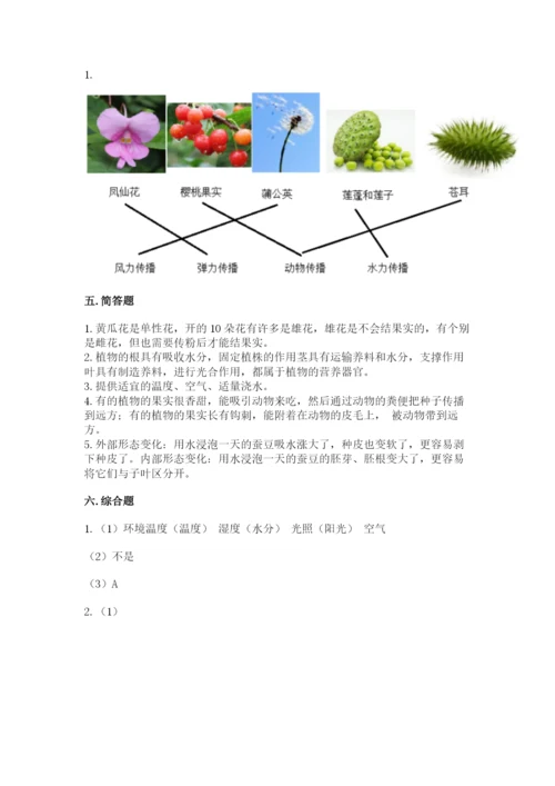 科学四年级下册第一单元植物的生长变化测试卷【夺冠系列】.docx