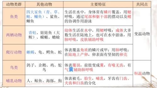 人教版七上2024第二单元复习课件(共20张PPT)