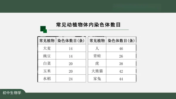 2.2.1 细胞通过分裂产生新细胞 课件（共22张PPT）