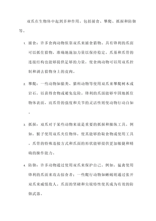 双爪的作用与功效