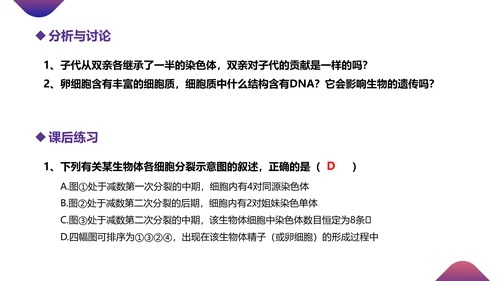初高中生物课减数分裂作用PPT教学课件