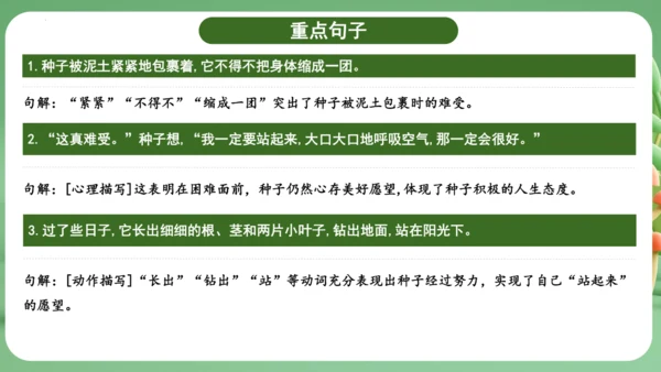 统编版2024三年级语文上册第三单元复习   课件