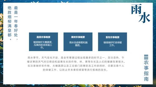 二十四节气PPT模板雨水