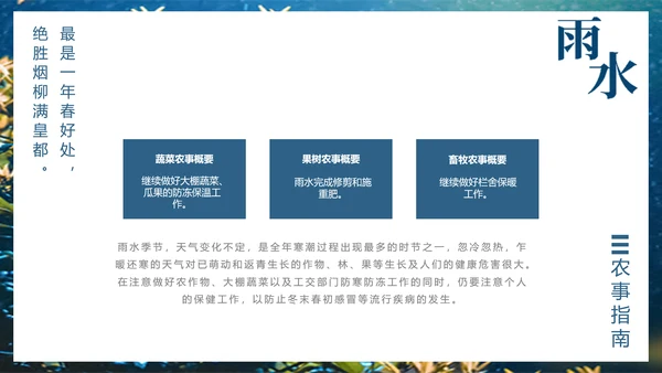 二十四节气PPT模板雨水