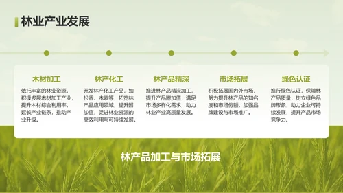 绿色摄影风走进绿水青山的家乡PPT模板