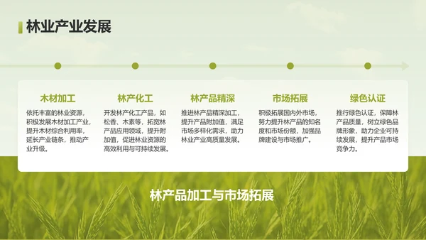 绿色摄影风走进绿水青山的家乡PPT模板