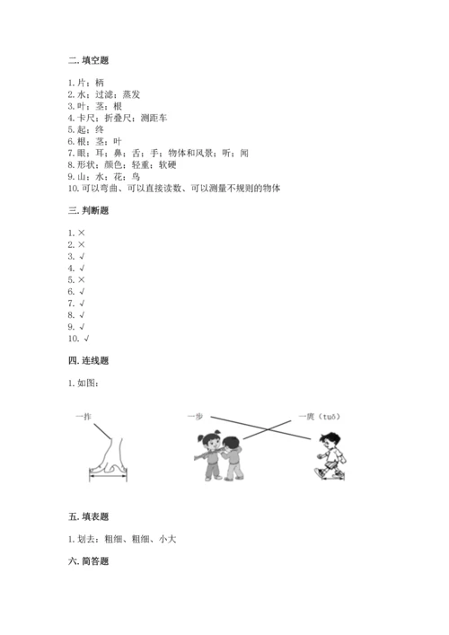 教科版科学一年级上册期末测试卷及答案（精品）.docx