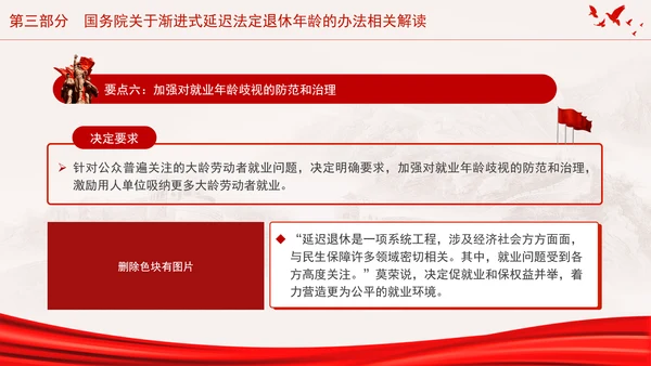 全国人大常委会关于实施渐进式延迟法定退休年龄的决定专题党课PPT