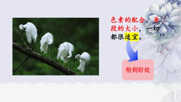 《1 白鹭》课件
