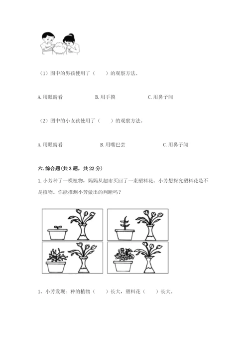 教科版一年级上册科学期末测试卷【基础题】.docx