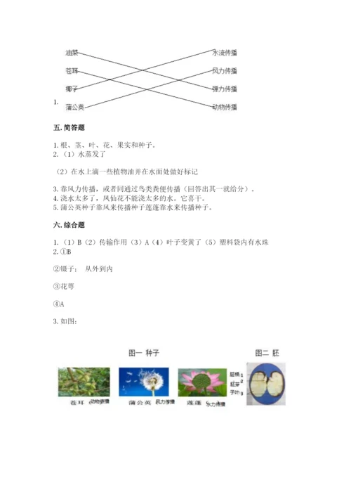 科学四年级下册第一单元《植物的生长变化》测试卷含答案（能力提升）.docx