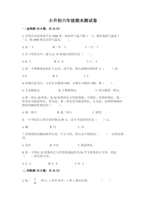 小升初六年级期末测试卷（能力提升）.docx