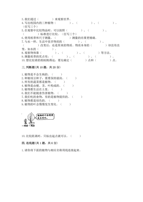 教科版一年级上册科学期末测试卷及下载答案.docx