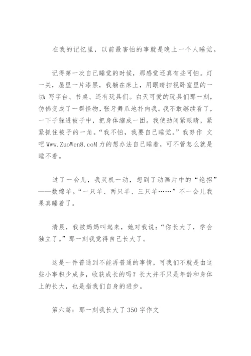 那一刻我长大了350字作文(精选14篇).docx