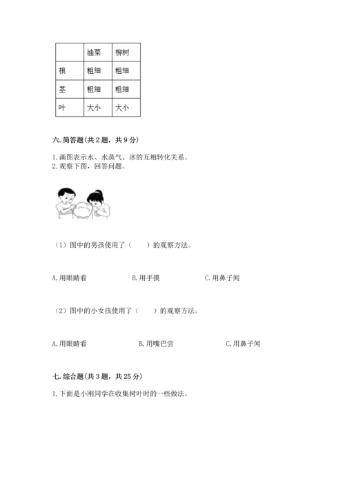 教科版科学一年级上册第一单元《植物》测试卷含完整答案【典优】.docx