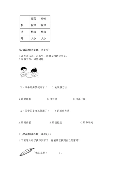 教科版科学一年级上册第一单元《植物》测试卷及1套参考答案.docx