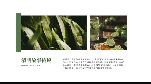 绿色大气清新绿植清明节主题PPT模板