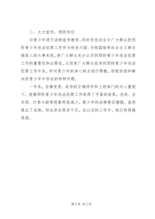 乡镇团委预防青少年违法犯罪工作总结.docx