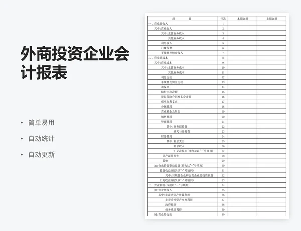 外商投资企业会计报表