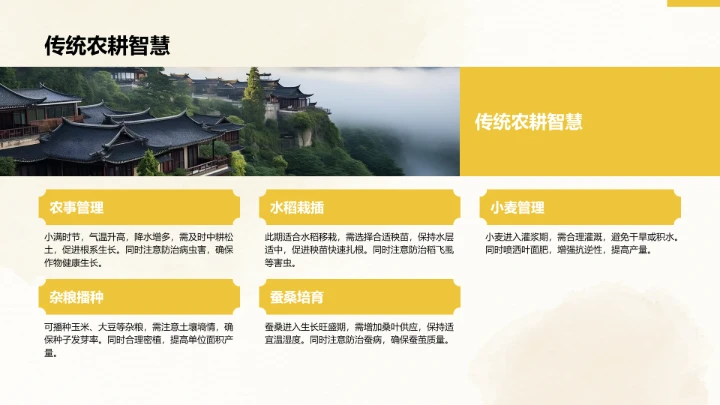 二十四节气小满PPT模板