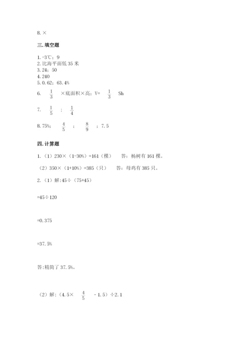 北京版六年级下册数学期末测试卷【精选题】.docx