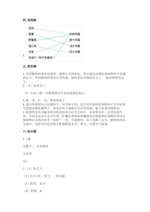 科学四年级下册第一单元《植物的生长变化》测试卷（综合题）.docx