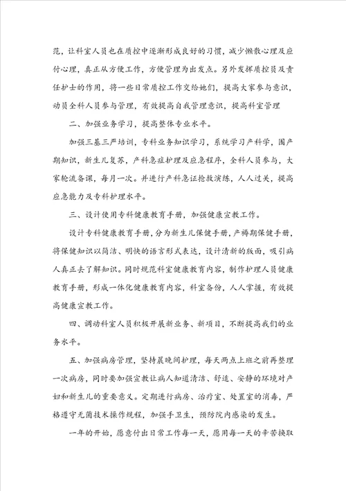 产科年度工作计划合集6篇