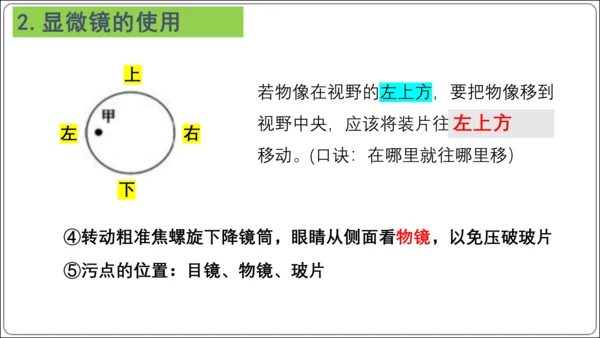 【2023秋人教七上生物期中复习考点梳理串讲+临考押题】第一章 细胞是生命活动的基本单位（串讲课件）