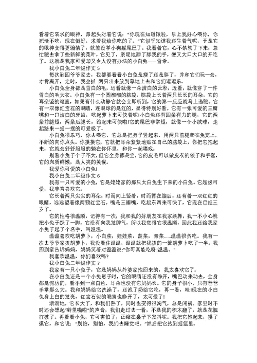 公益小学生二年级作文