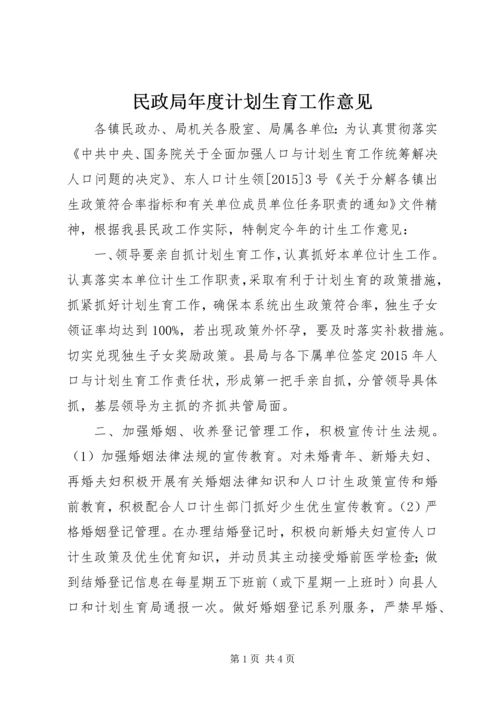 民政局年度计划生育工作意见.docx