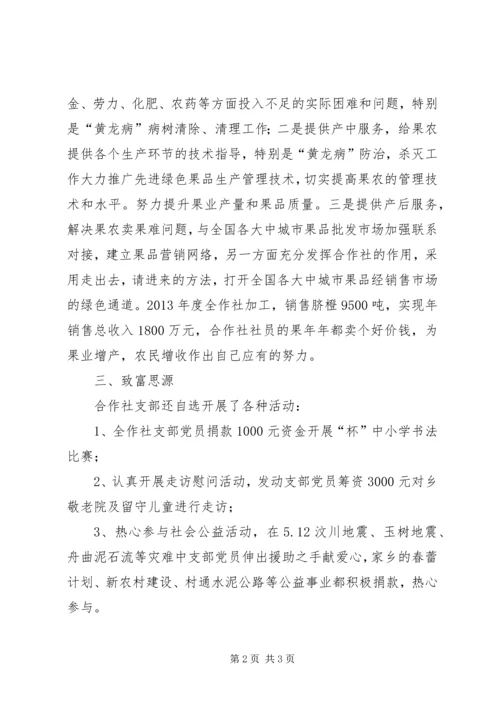 果业党支部主要事迹材料.docx