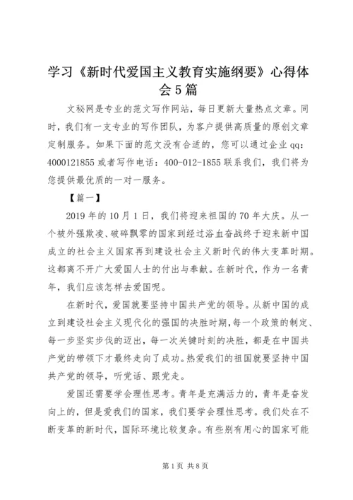 学习《新时代爱国主义教育实施纲要》心得体会5篇_1.docx