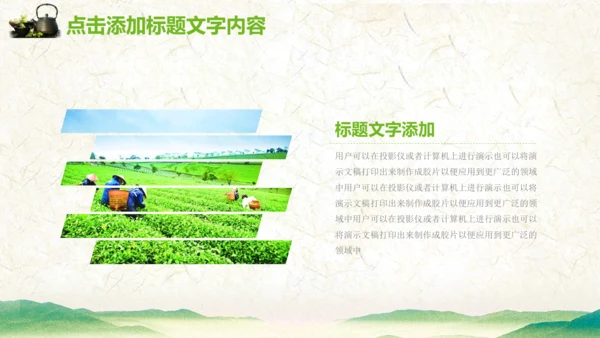 绿茶产品介绍茶叶茶文化春茶紫砂壶PPT