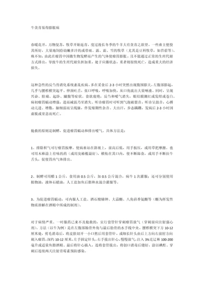 牛贪青易得膨胀病.docx