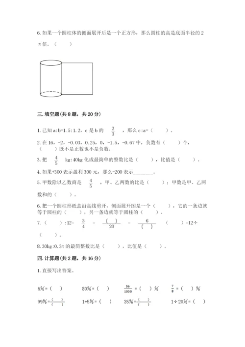 小学六年级下册数学期末测试卷（典优）.docx