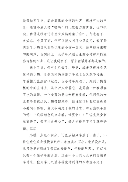 四年级作文叙事亲爱的，小猫1200字