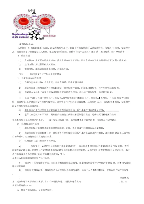 临床医学检验技师考试辅导之2019年检验技师精选体验课