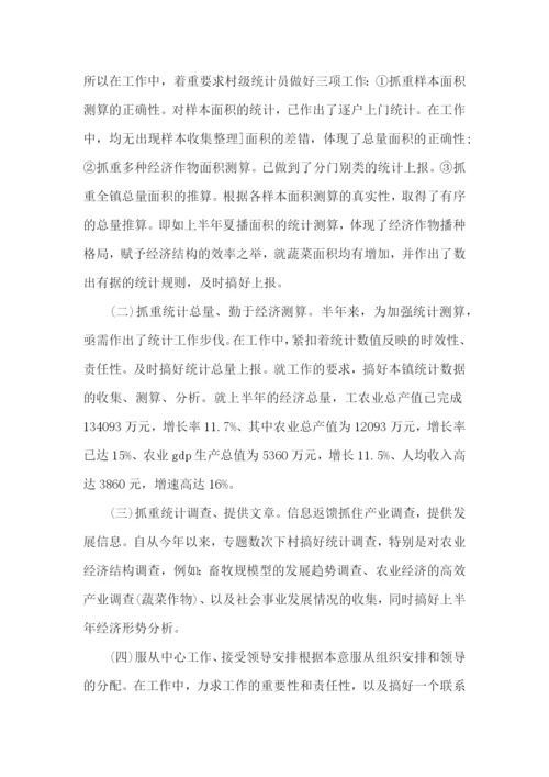 乡镇统计个人工作总结.docx